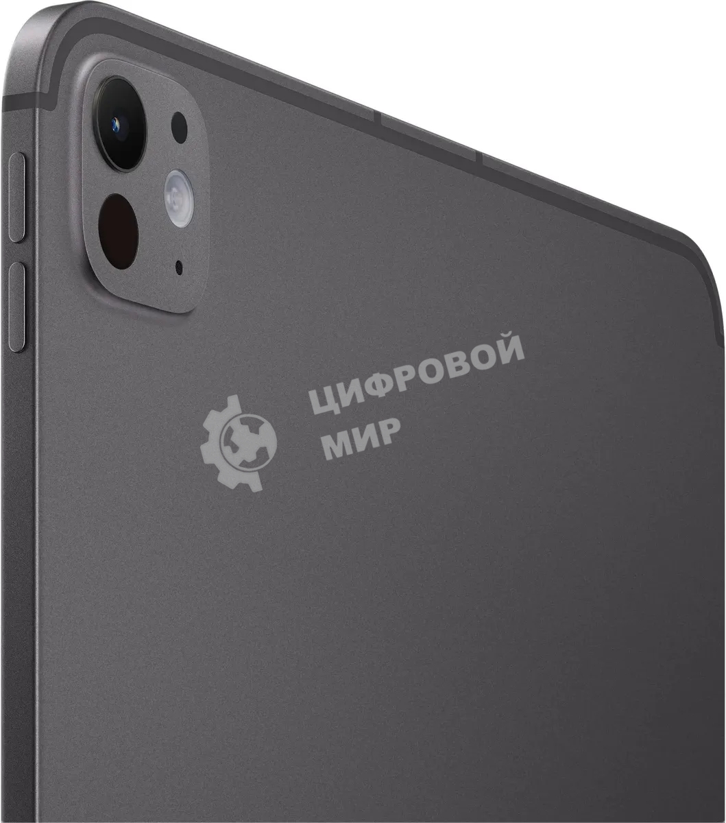 Планшет Apple iPad Pro 2024 A2837 11