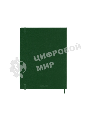 Блокнот MOLESKINE Classic, 192стр, в клеточку, твердая обложка, зеленый qp091k15