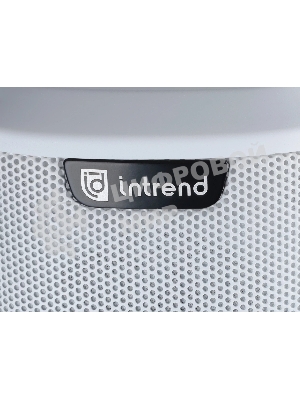 Звуковая колонна Intrend ITSPK-43DA-W активная 4x3