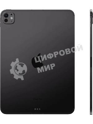 Планшет Apple iPad Pro 2024 A2837 11