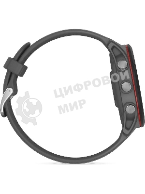 Смарт-часы Garmin Forerunner 255 темно-серый 45,6мм