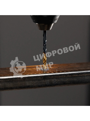 Набор сверл по металлу Denzel 1-10 мм, HSS-Tin, Golden Tip, 19 шт