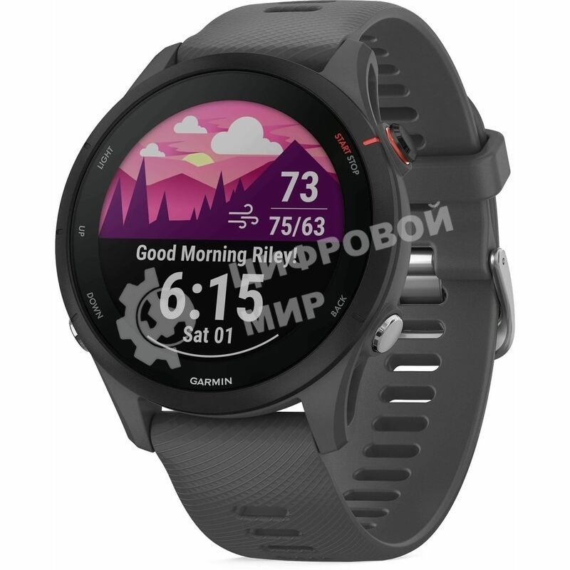 Смарт-часы Garmin Forerunner 255 темно-серый 45,6мм