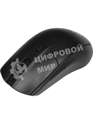 Мышь Steelseries Rival WL Gen 2 черный оптическая 8500dpi USB (62523)