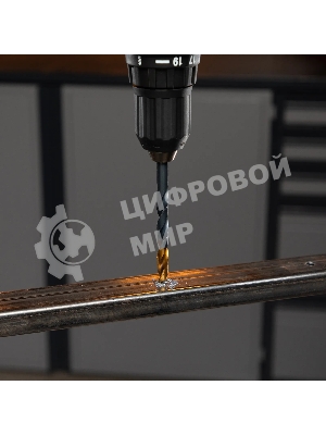 Набор сверл по металлу Denzel 1-13 мм, HSS-Tin, Golden Tip, 25 шт