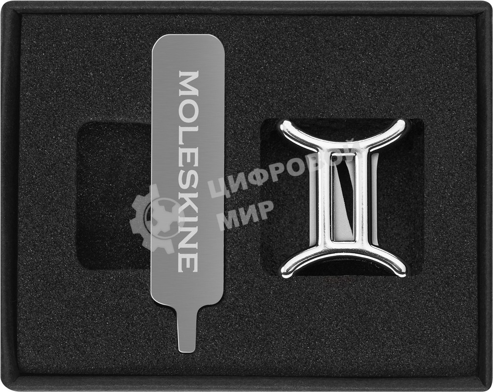 Шильд-символ Moleskine Zodiac Близнецы, металл, серебристый, коробка с европодвесом, PINGEMINISILV