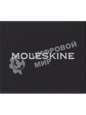 Шильд-символ Moleskine Zodiac Близнецы, металл, серебристый, коробка с европодвесом, PINGEMINISILV