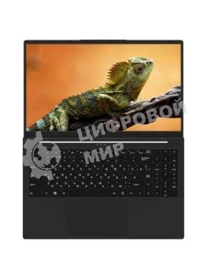 Ноутбук Rikor Pro 3 15 OH-03/15.6