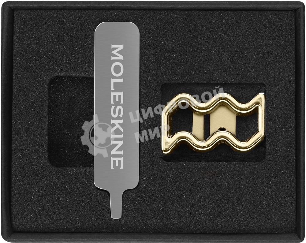 Шильд-символ Moleskine Zodiac Signs Водолей, металл, золотистый, коробка с европодвесом, PINAQUARIUSGOLD