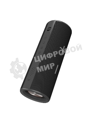 Портативная колонка Soundmax SM-PS5024B черный