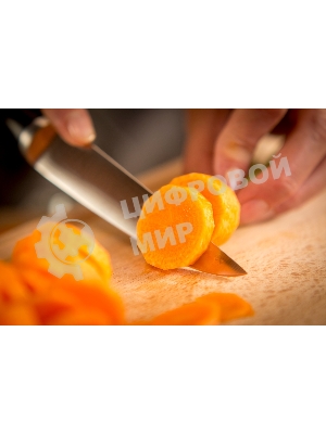 Универсальный нож Tefal 2100104353