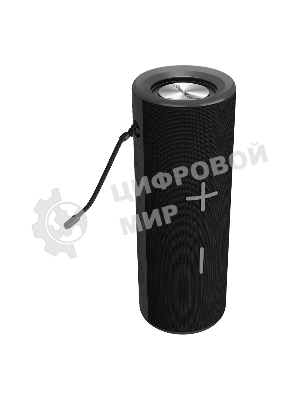 Портативная колонка Soundmax SM-PS5024B черный