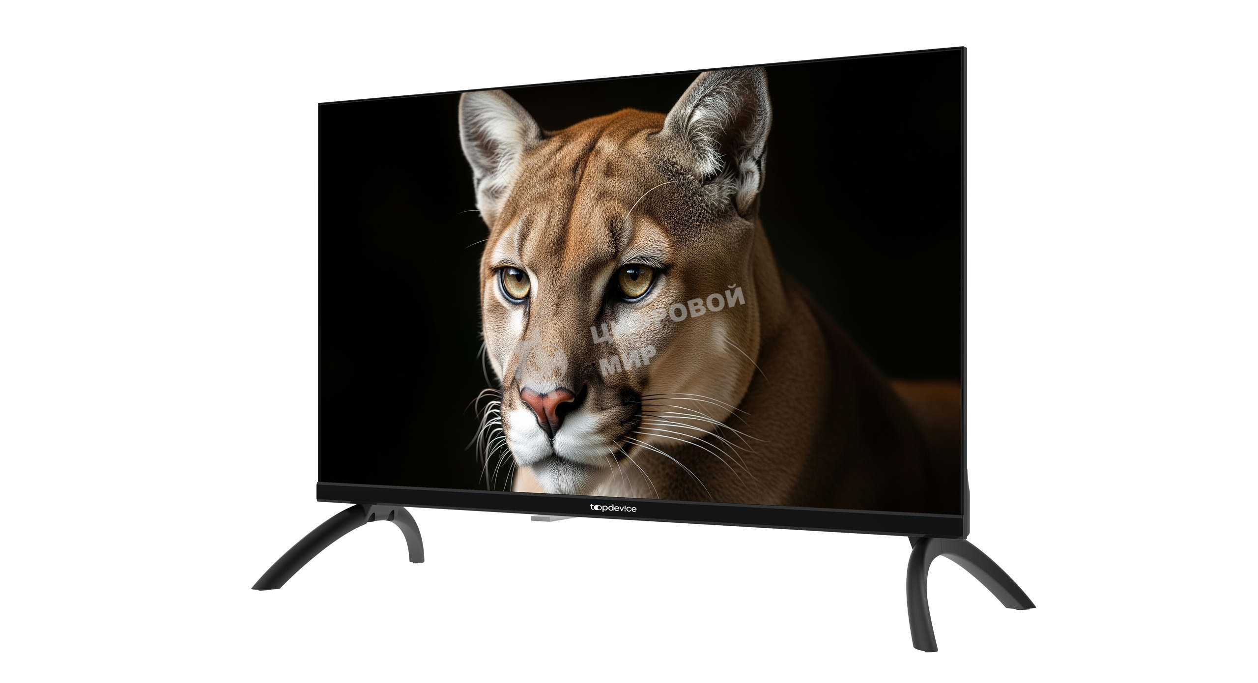 Телевизор TopDevice 24