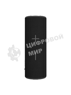 Портативная колонка Soundmax SM-PS5024B черный