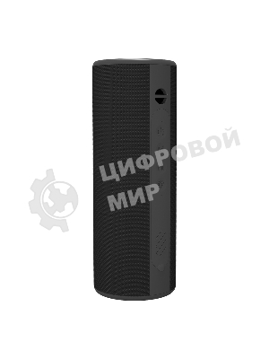 Портативная колонка Soundmax SM-PS5024B черный