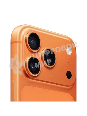 Смартфон Apple iPhone 17 Pro Max 12/256Gb, оранжевый