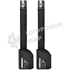 Микрофон конденсаторный sE Electronics RN17 (Stereo Set) инструментальный, подобранная пара, 20 Гц 20 кГц, кардиоида, 6 мВ/Па, SPL: 150 дБ