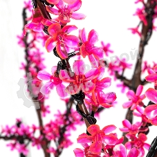 Светодиодное дерево Neon-night Сакура, высота 1,5м, диаметр кроны 1,8м, розовые светодиоды, IP65, понижающий трансформатор в комплекте