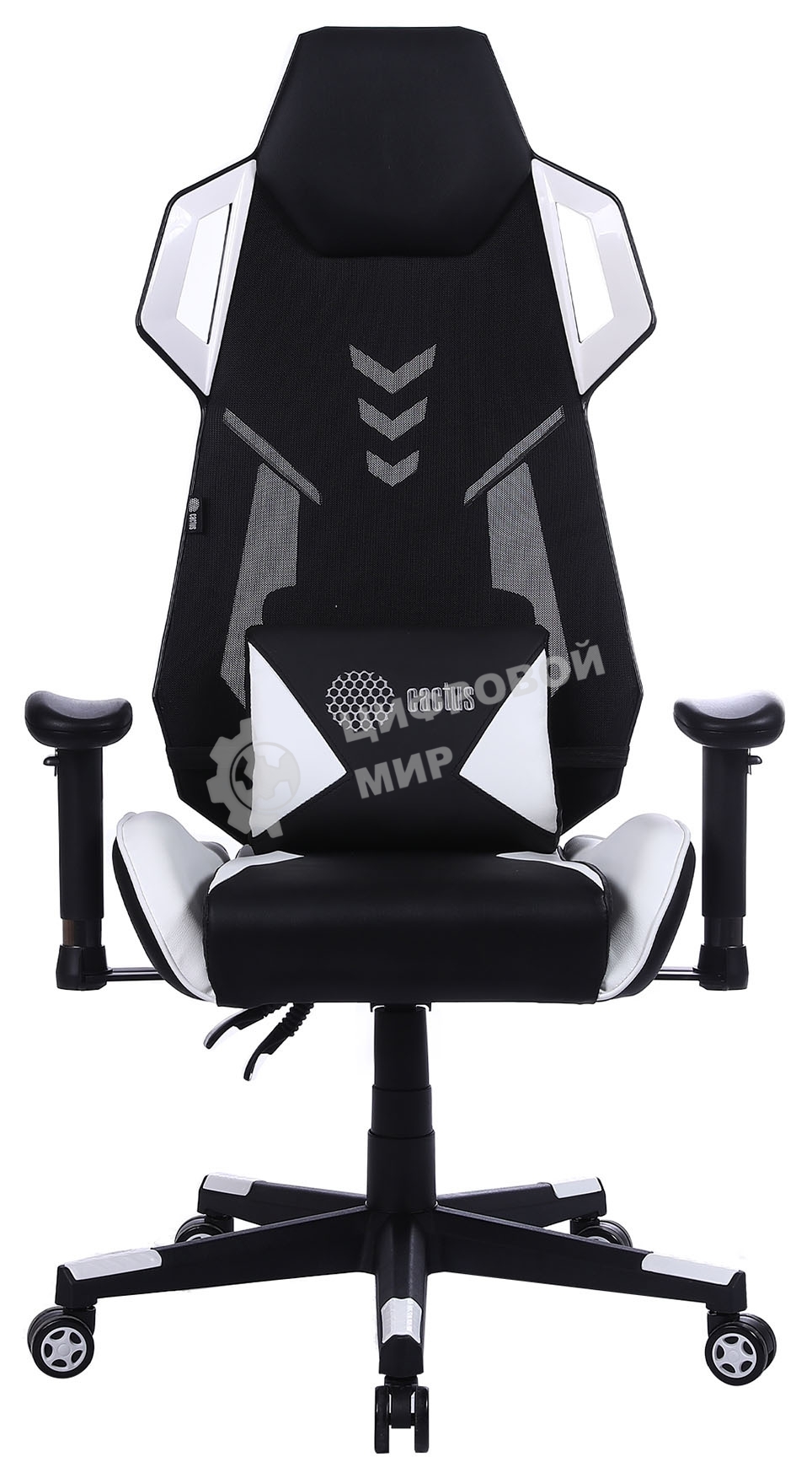 Кресло игровое Cactus CS-CHR-090BLW черный/белый, сиденье черный/белый, эко.кожа, крестовина пластик, пластик черный/белый