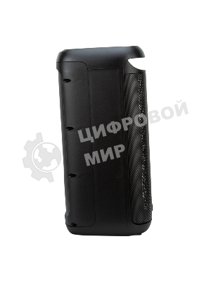 Акустическая система ELTRONIC (30-44) DANCE BOX 900 - колонка 06