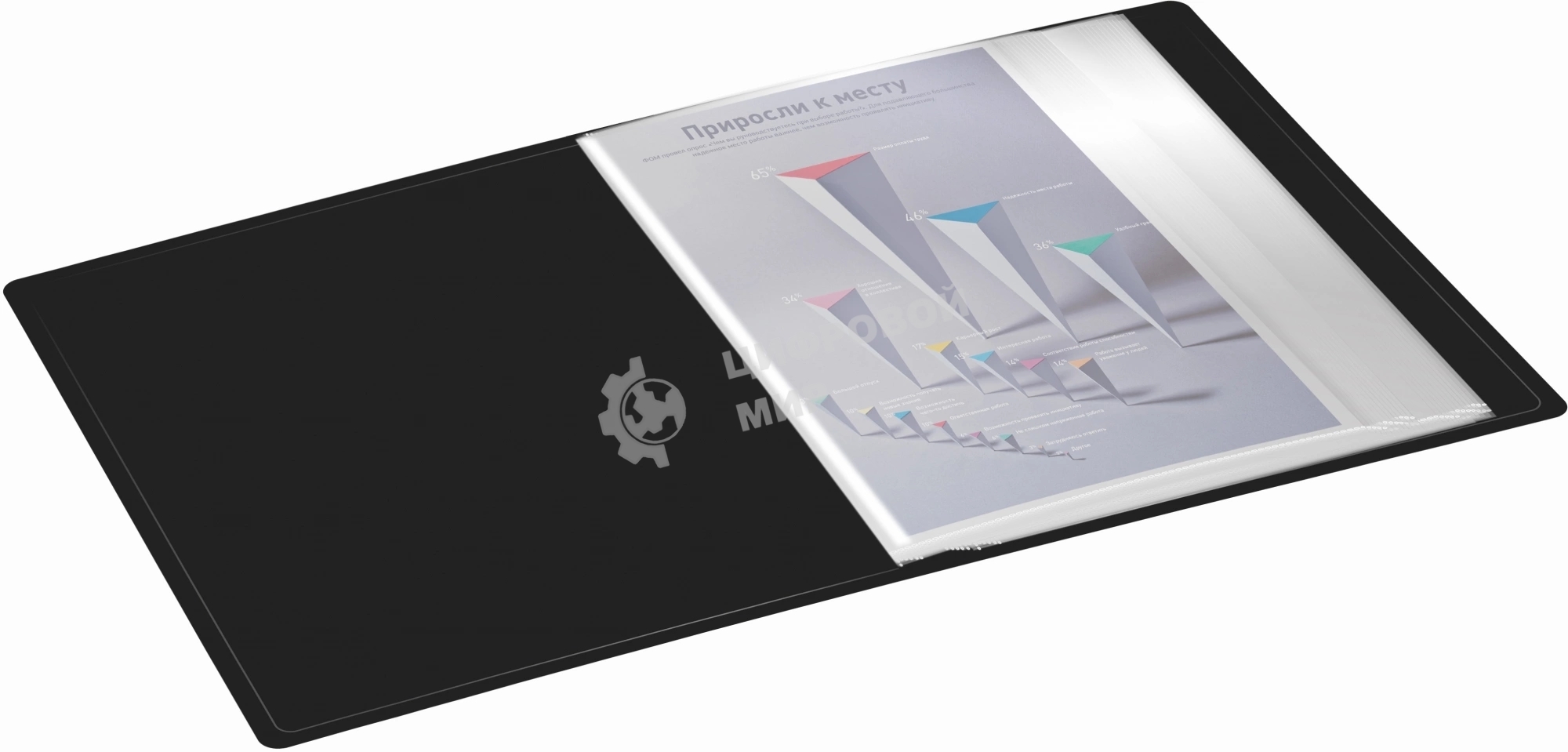 Папка с 60 прозрачными вкладками Silwerhof Eco A4 пластик 0.7мм черный