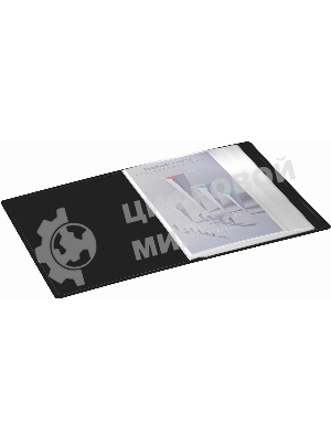 Папка с 60 прозрачными вкладками Silwerhof Eco A4 пластик 0.7мм черный