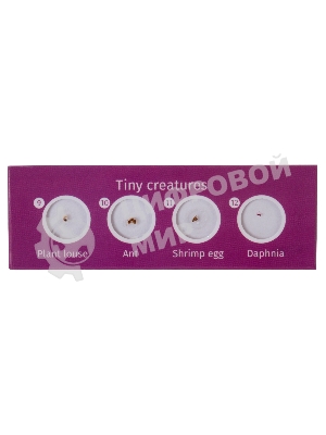 Набор микропрепаратов Levenhuk LABZZ CP24, существа и растения (72870)