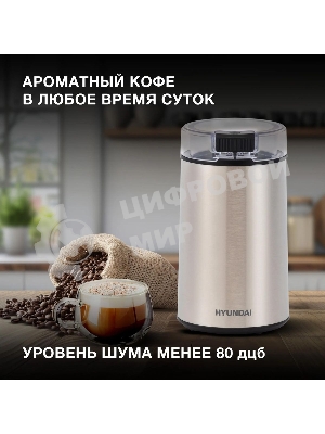 Кофемолка Hyundai HYC-G5261 200Вт сист.помол.:ротац.нож вместим.:60гр серебристый