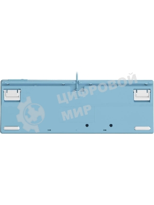 Клавиатура проводная A4Tech Fstyler FS300 (FS300 PANDA SNOWBOARDING), USB, белый/синий