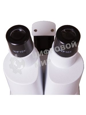 Микроскоп Levenhuk 1ST бинокуляр 20x белый/черный