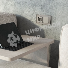 Накладка для розетки USB WERKEL (дымчатый) W1279504