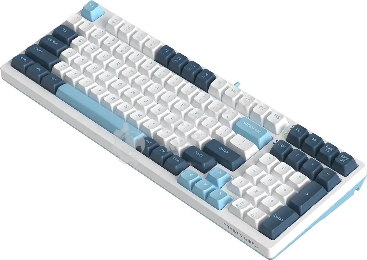 Клавиатура проводная A4Tech Fstyler FS300 (FS300 PANDA SNOWBOARDING), USB, белый/синий