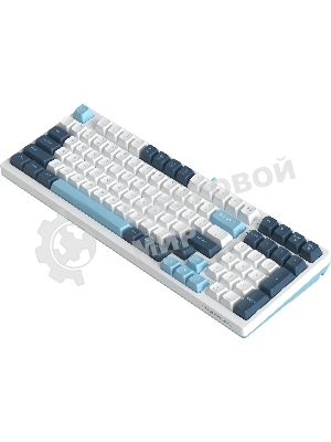 Клавиатура проводная A4Tech Fstyler FS300 (FS300 PANDA SNOWBOARDING), USB, белый/синий