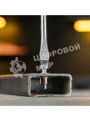 Заклепки резьбовые Denzel стальные, оцинкованные, М5, пластиковый кейс, 100 шт.