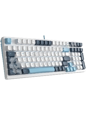 Клавиатура проводная A4Tech Fstyler FS300 (FS300 PANDA SNOWBOARDING), USB, белый/синий