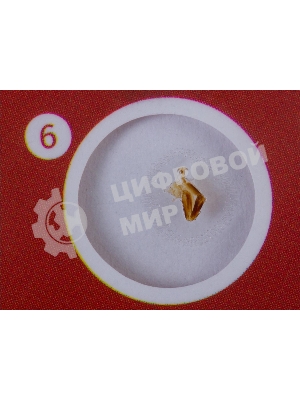 Набор микропрепаратов Levenhuk LABZZ CP24, существа и растения (72870)