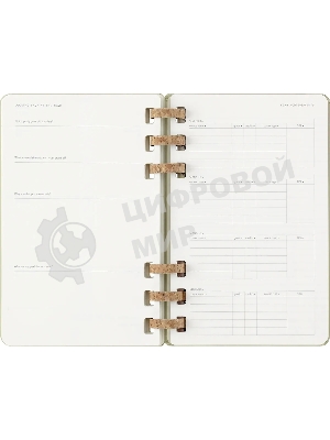Еженедельник Moleskine ACADEMIC SPIRAL DHSPK5212AMWH3 Large 150х210 мм 200 стр. кремовые страницы спираль киви