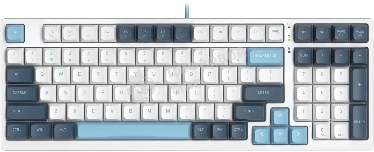 Клавиатура проводная A4Tech Fstyler FS300 (FS300 PANDA SNOWBOARDING), USB, белый/синий