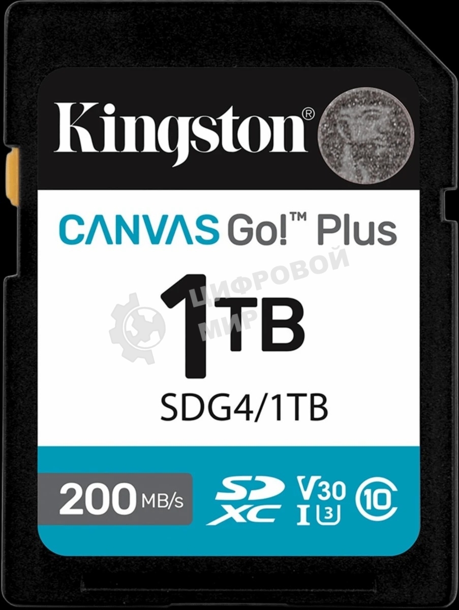 Флеш карта SDXC 1Tb Kingston SDG4/1Tb Canvas Go! Plus w/o adapter