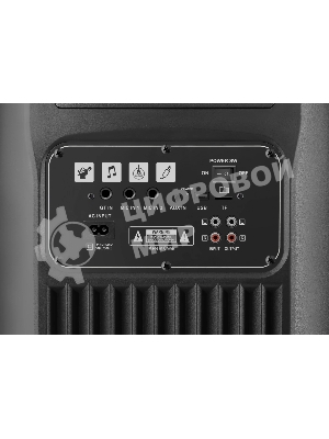 Портативная колонка Defender Boomer 200