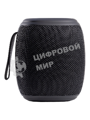 Портативная колонка Smartbuy MUSE 2 черный