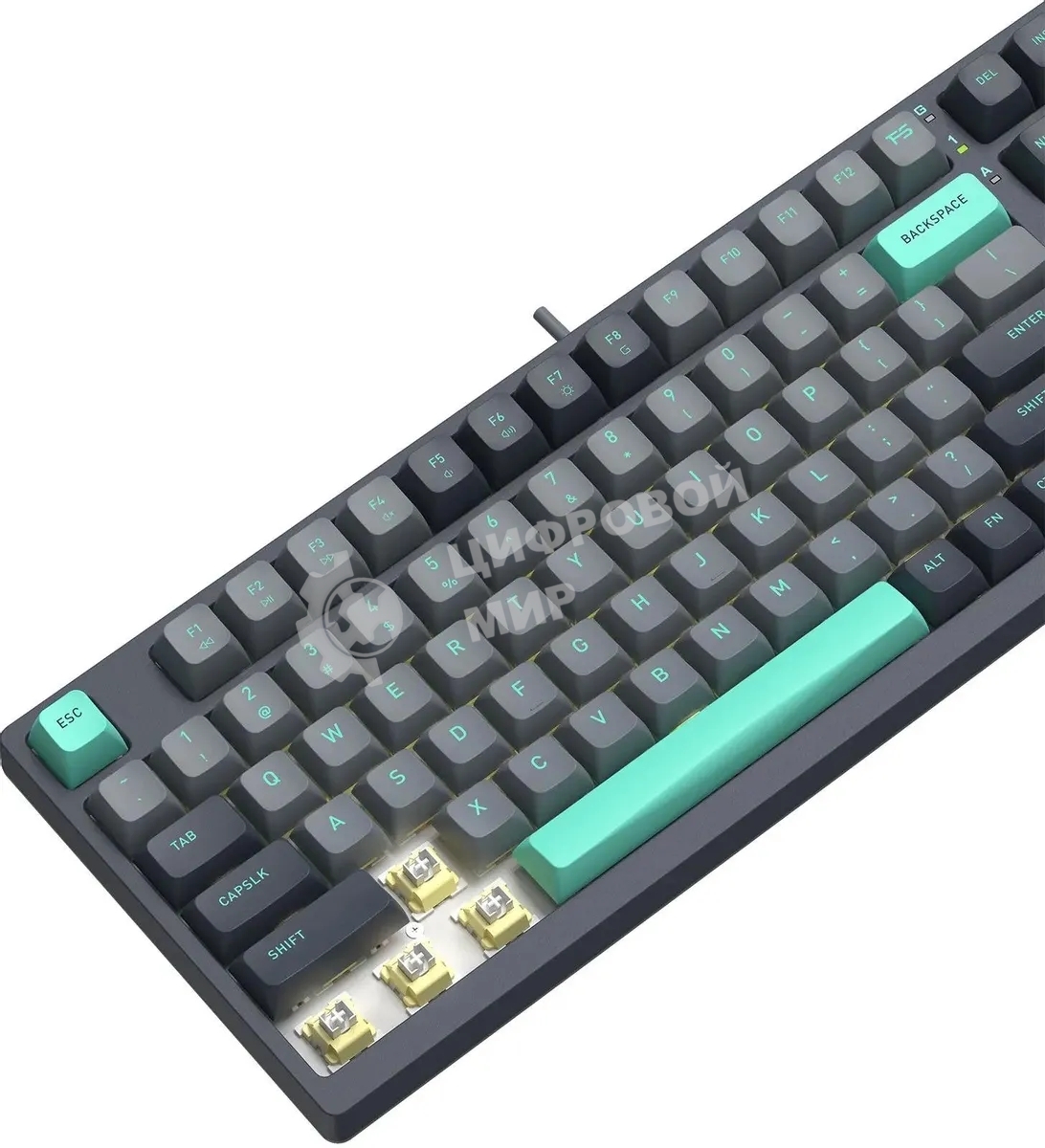 Клавиатура проводная A4Tech Fstyler FS300 механическая черный/серый USB for gamer LED (FS300 PANDA ROCK)