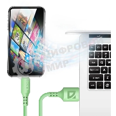 Кабель Defender F207, USB 2.0 (AM) - Type-C, 1 м, 2.4А, силиконовая оплетка, зеленый.