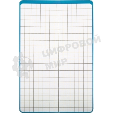 Доска для рисования Silwerhof ламинац. маркер. А3+ 487х329мм двухстор. картон 3мм