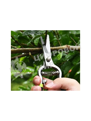 Ножницы садовые Deli DL580123 цельнометаллические, 200мм, макс. диаметр резки 12мм, сталь 55С, возвратная пружина, противоскользящие рукоятки