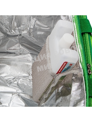 Сумка-холодильник Palisad Camping 32x25x24 см, с двумя охлаждающими блоками