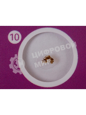 Набор микропрепаратов Levenhuk LABZZ CP24, существа и растения (72870)