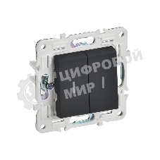 Выключатель проходной 2-кл. IEK SKANDY SK-V10G 10А с индикацией графит SK-V22-1-10-K53