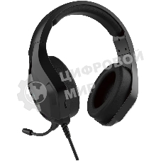 Наушники с микрофоном Oklick HS-L600G черный 2.2м мониторные USB оголовье (1939588)