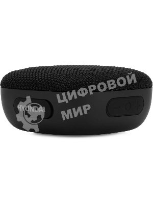Колонка портативная Hyundai H-PS1010 черный 5W 1.0 BT 10м 1200mAh